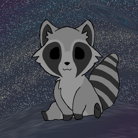 Raccoon Raccoon